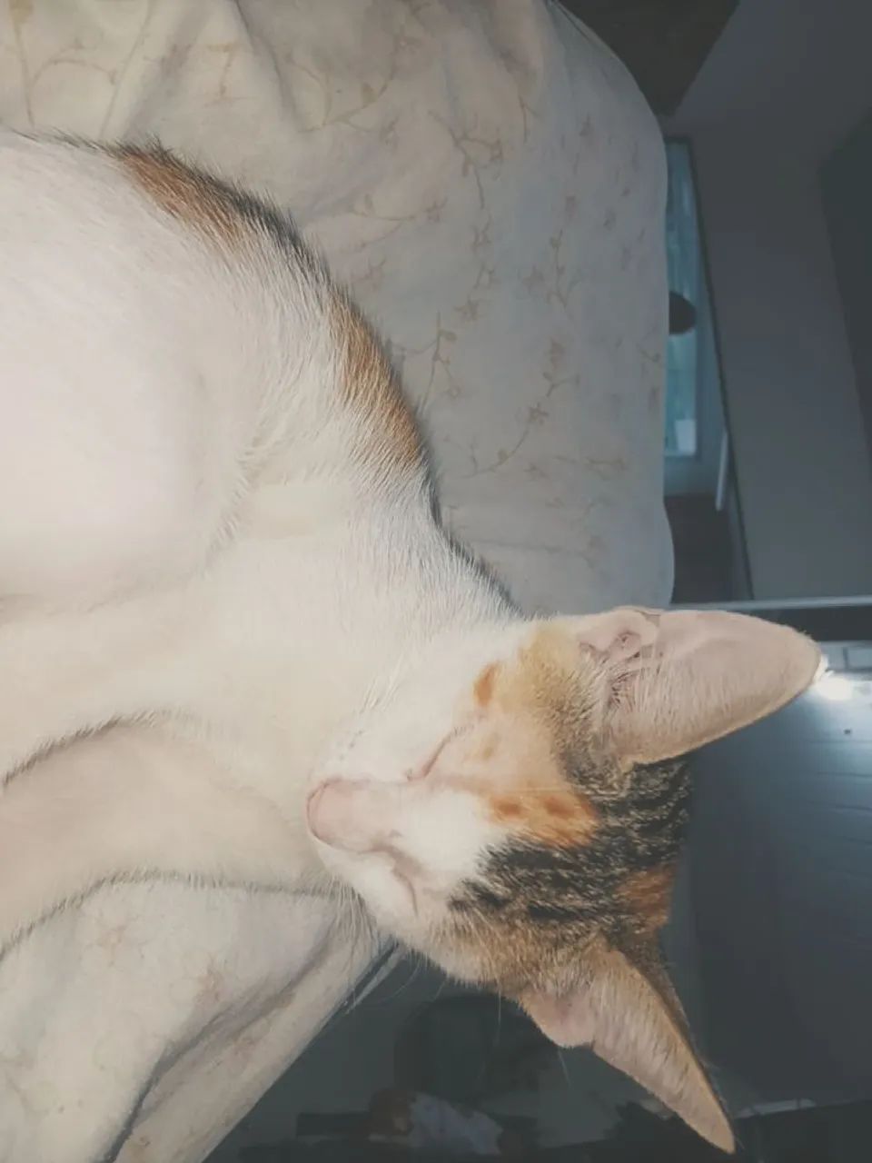 Doação responsável 