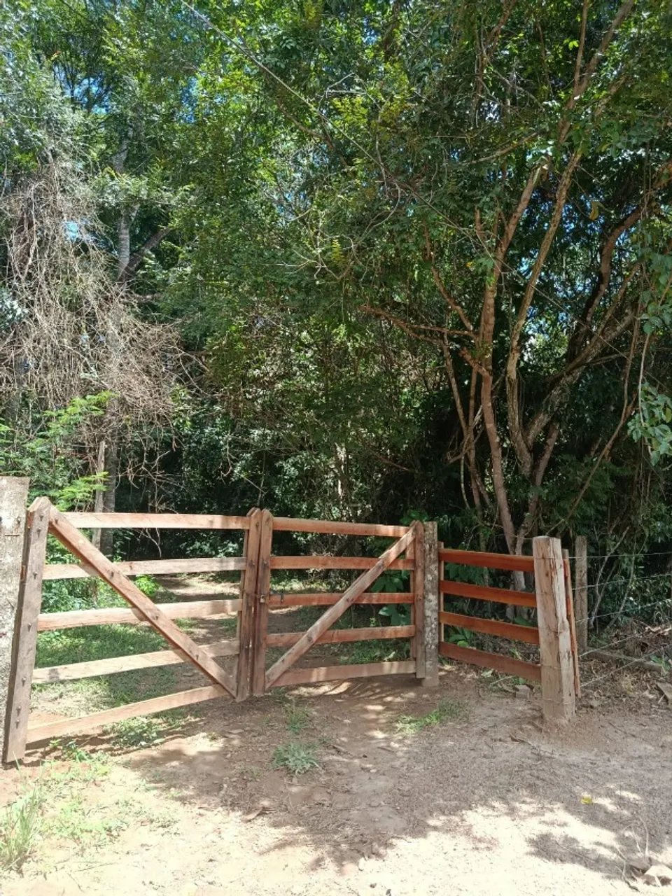 Vende-se Chácara em Piracanjuba, as margens do Rio Piracanjuba