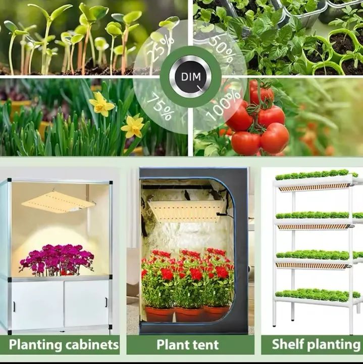 Painel Led Quantum Board Samsung Led Lm281b Grow Up 60w full spectrum - Foto 4