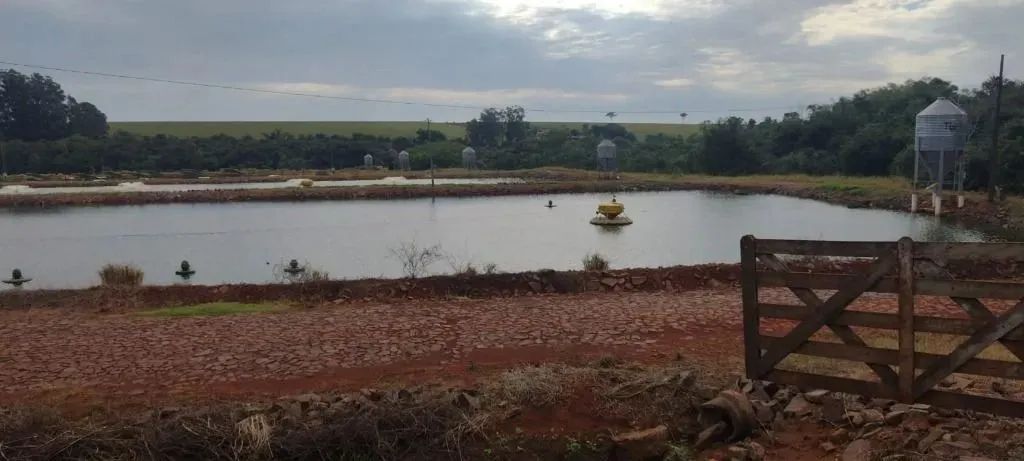 Fazenda de Piscicultura - Foto 3