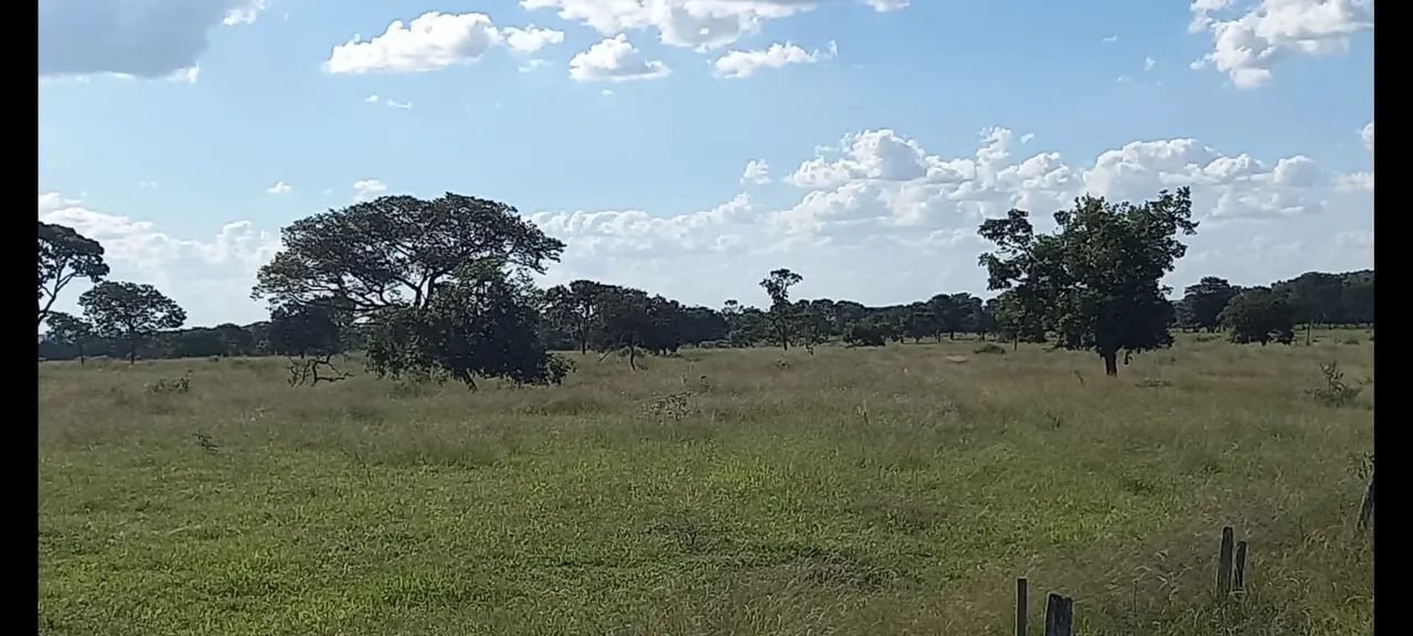 Fazenda município de campo florido  - Foto 2