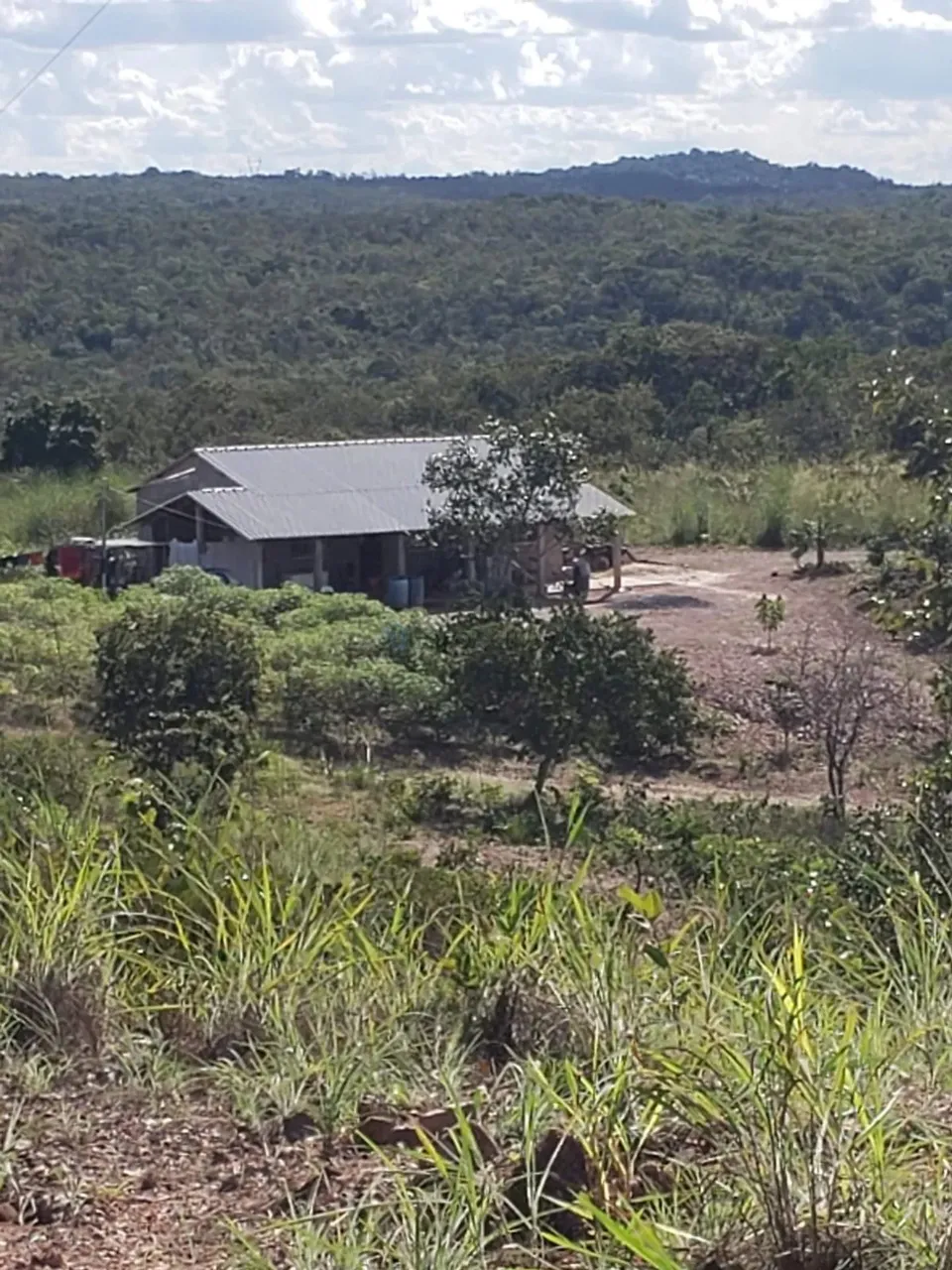 sitio com 130 hectares nas margens da BR 351 na região do manso a 71 km da cidad