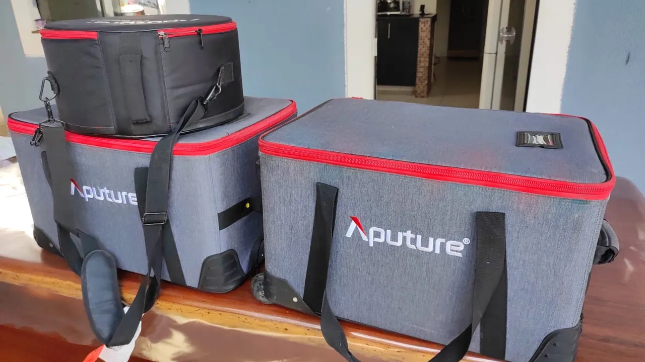 Aputure 600 D pro