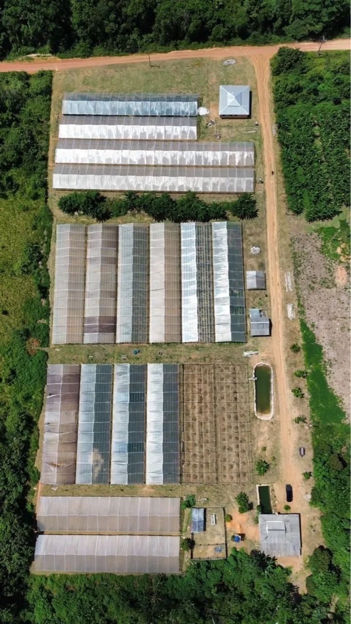 Terreno 100x2000m em Presidente Figueiredo/AM - Foto 3