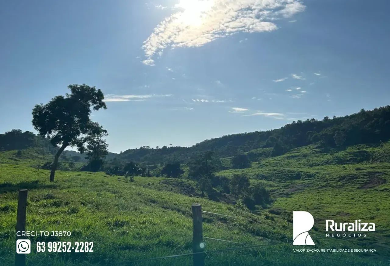 RIO SONO | 10 DIVISÕES DE PASTO | PRONTA PARA PECUÁRIA