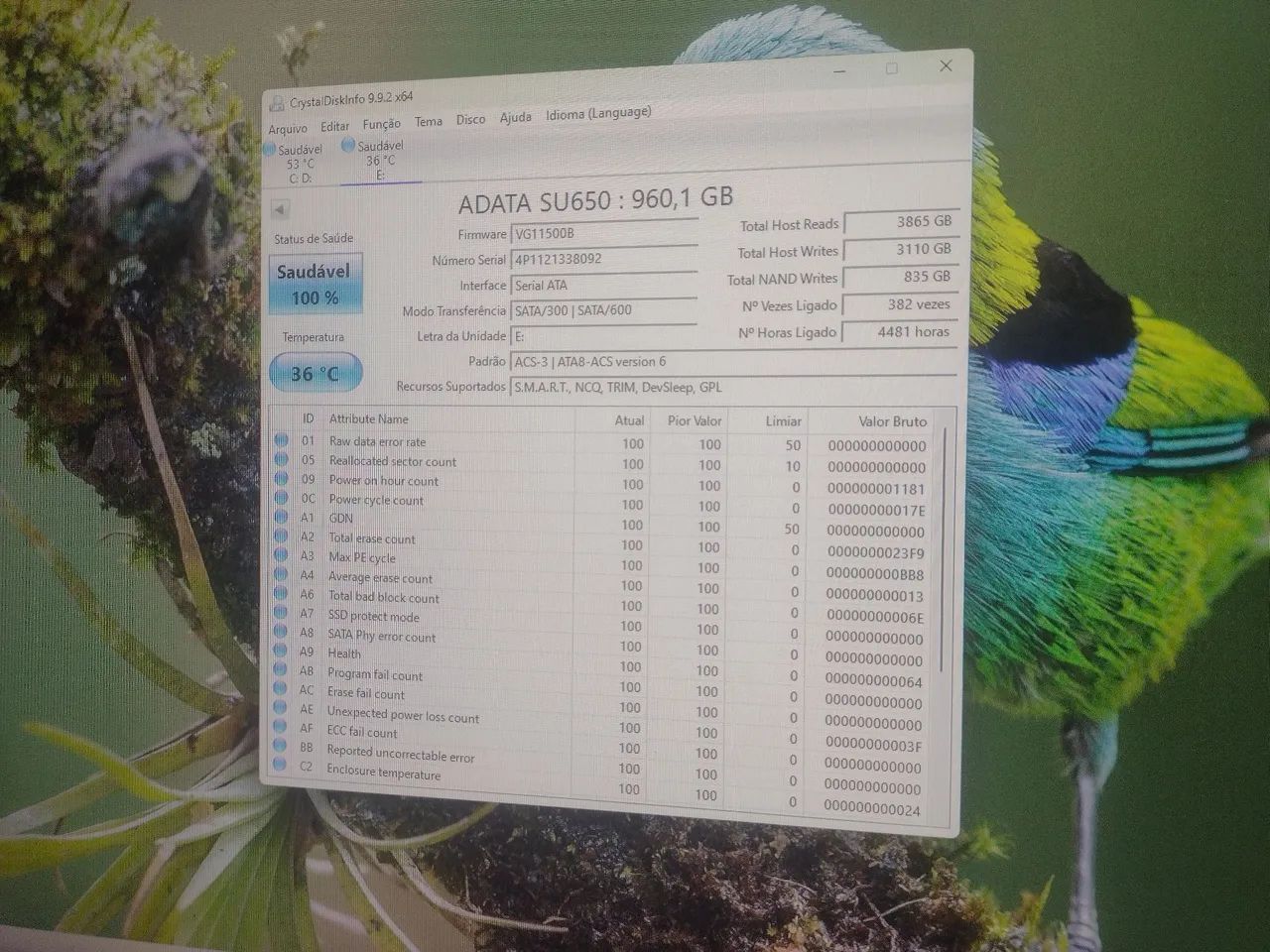 SSD 960 GB ADATA - Foto 3