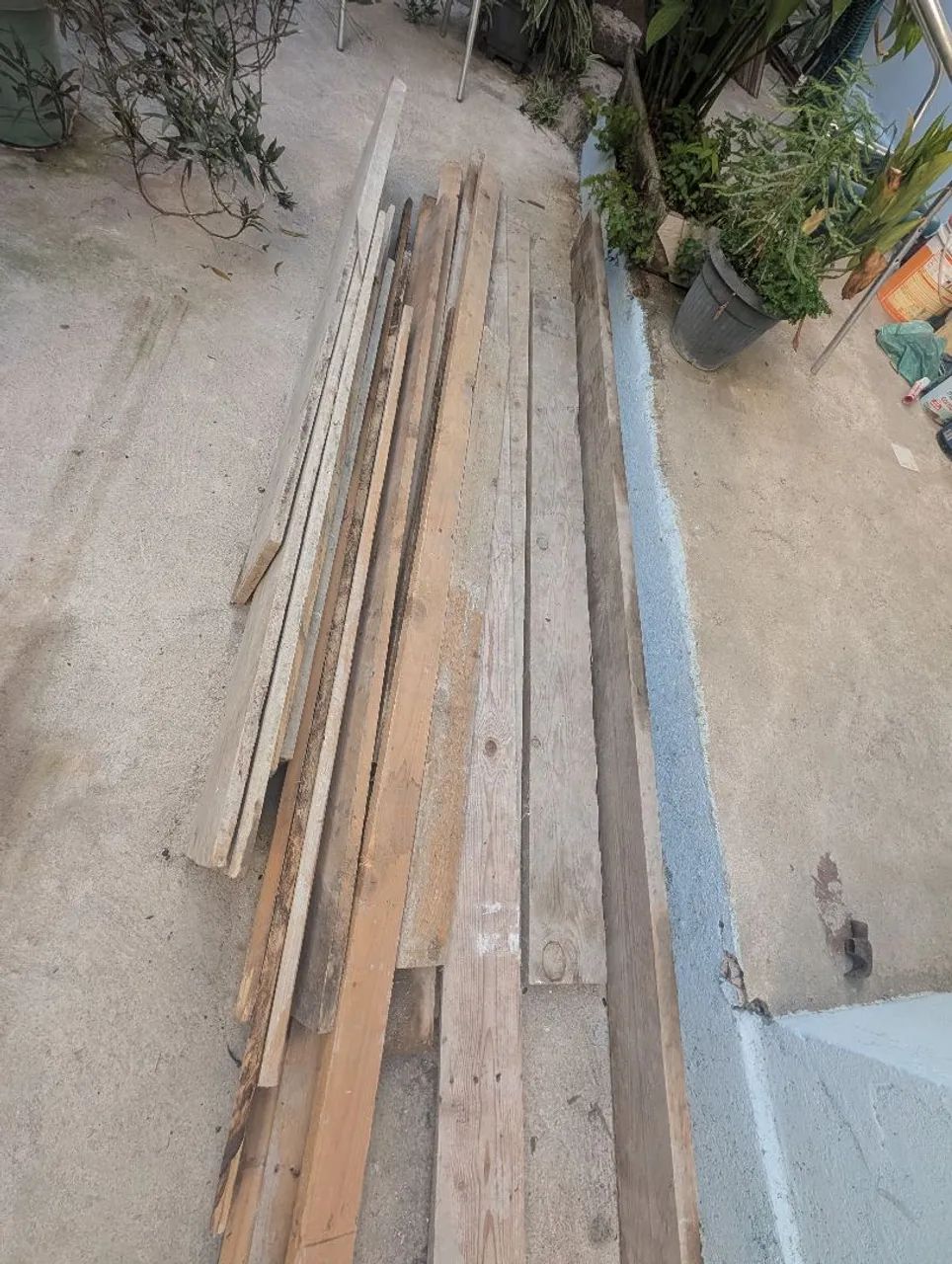 Madeiras de Pinhos - Foto 2