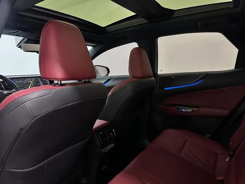 Lexus NX-450h+ AWD 2.5 16V Aut. (Híbrido), foto 20 de 20