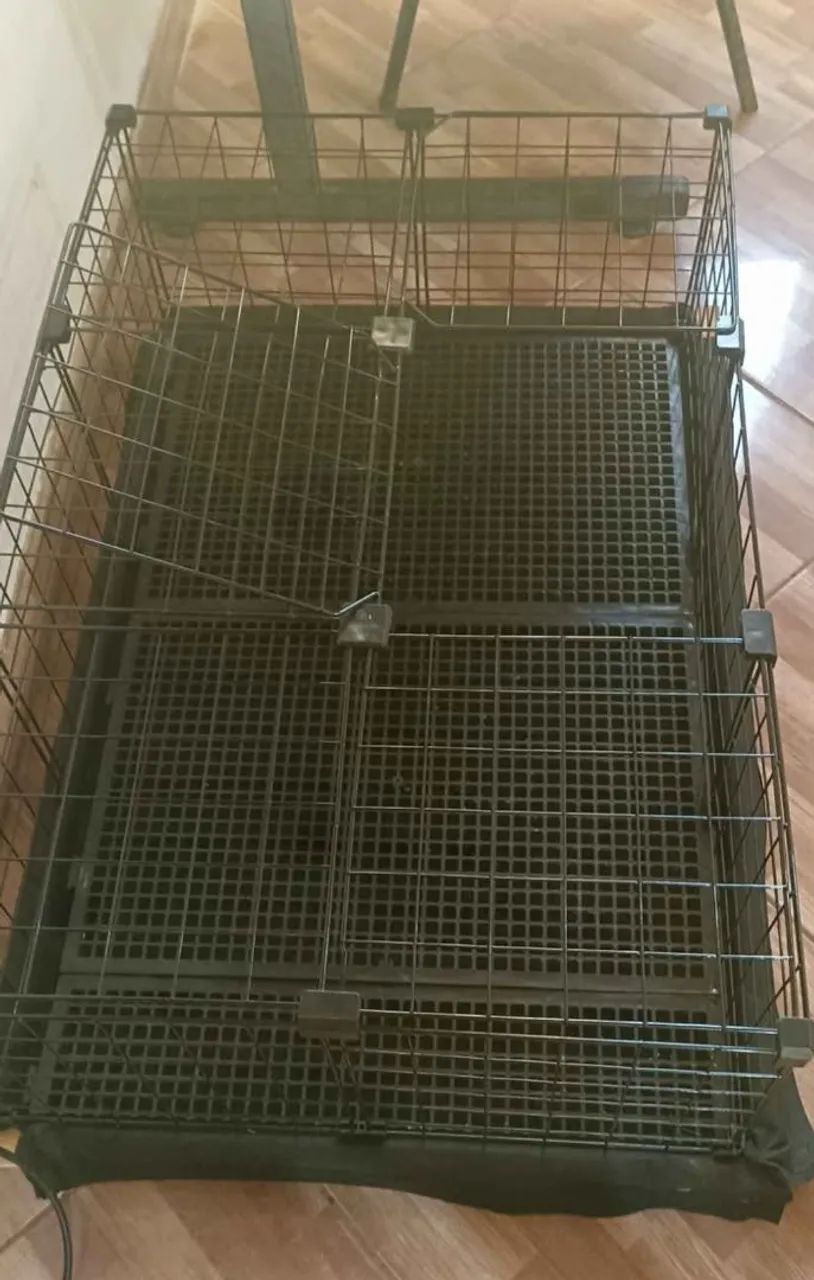 Gaiola para porquinho da Índia  - Foto 2
