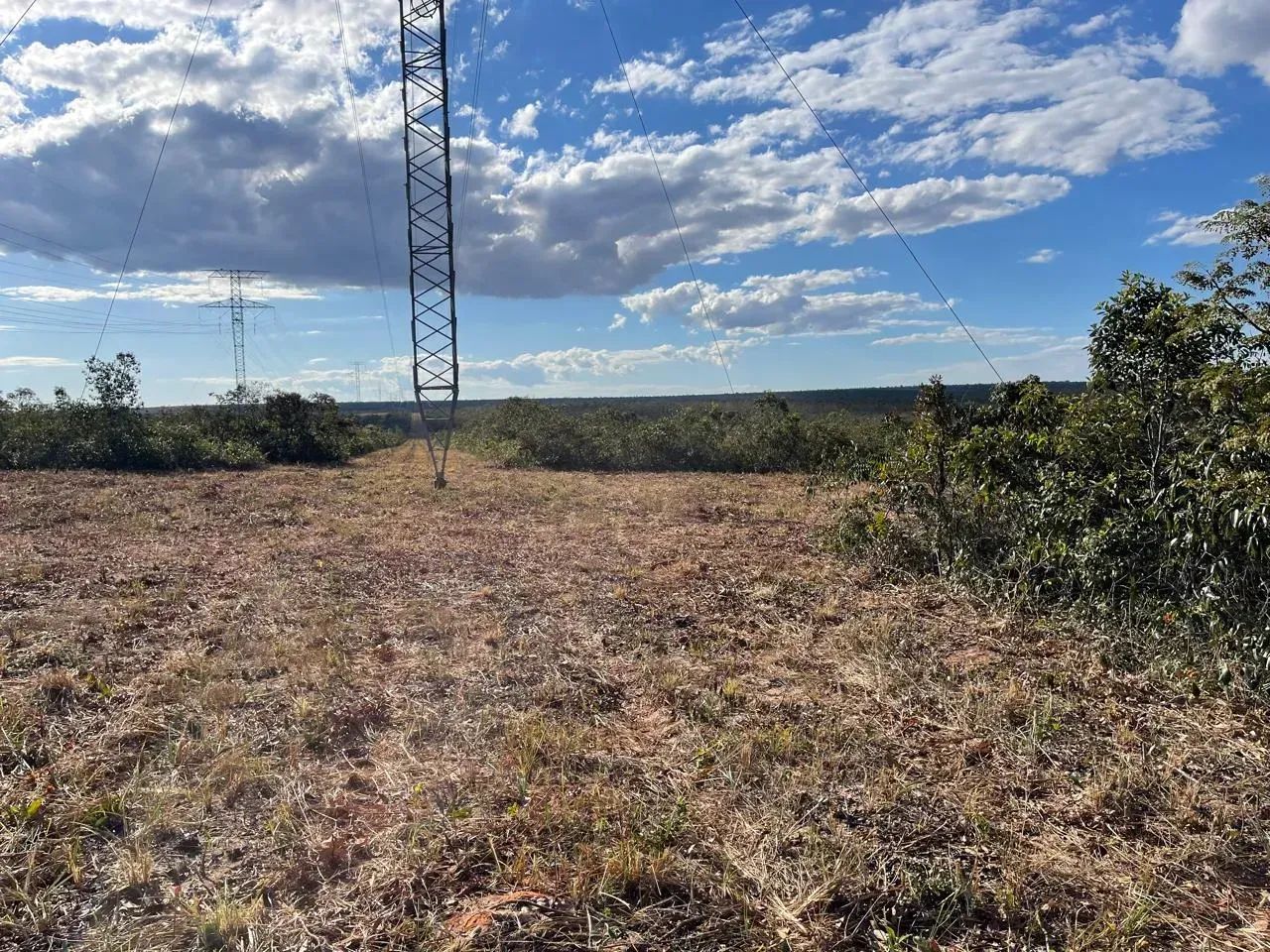 Fazenda à Venda | 2.000 Hectares em Nova Lacerda - MT - Foto 5