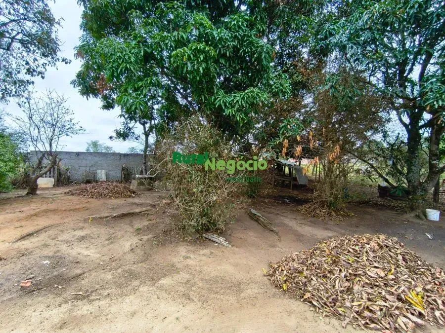 TERRENO PARA FORMAR CHÁCARA NO GOIABAL EM PINDAMONHANGABA-SP - Foto 4