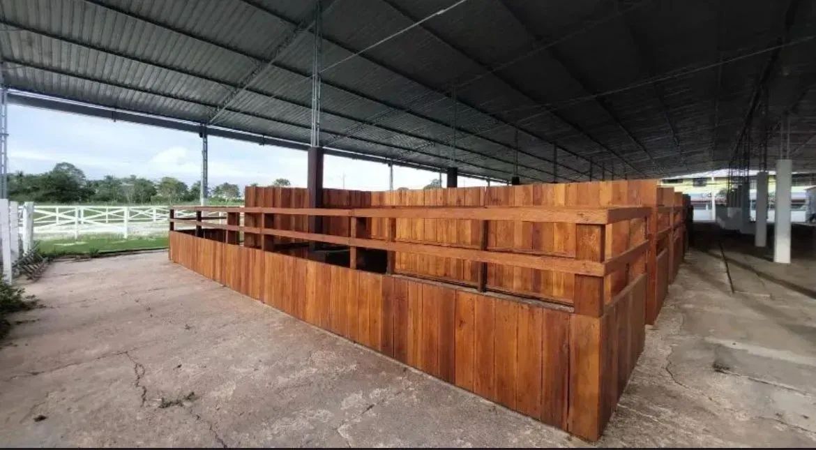CHÁCARAS DA FAZENDA 1 - Foto 11