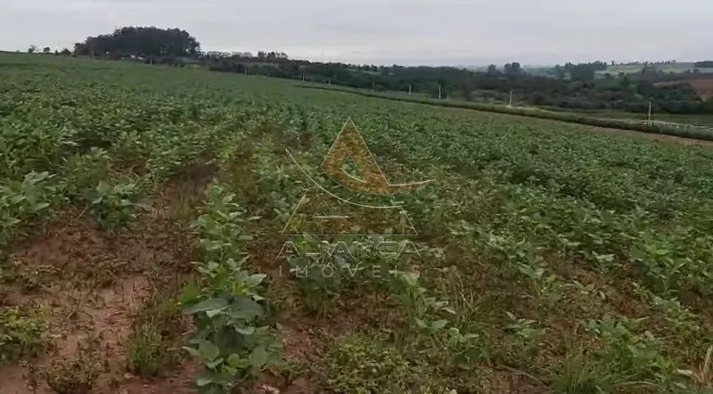 Fazenda - Casa Branca - Zona Rural - Foto 3