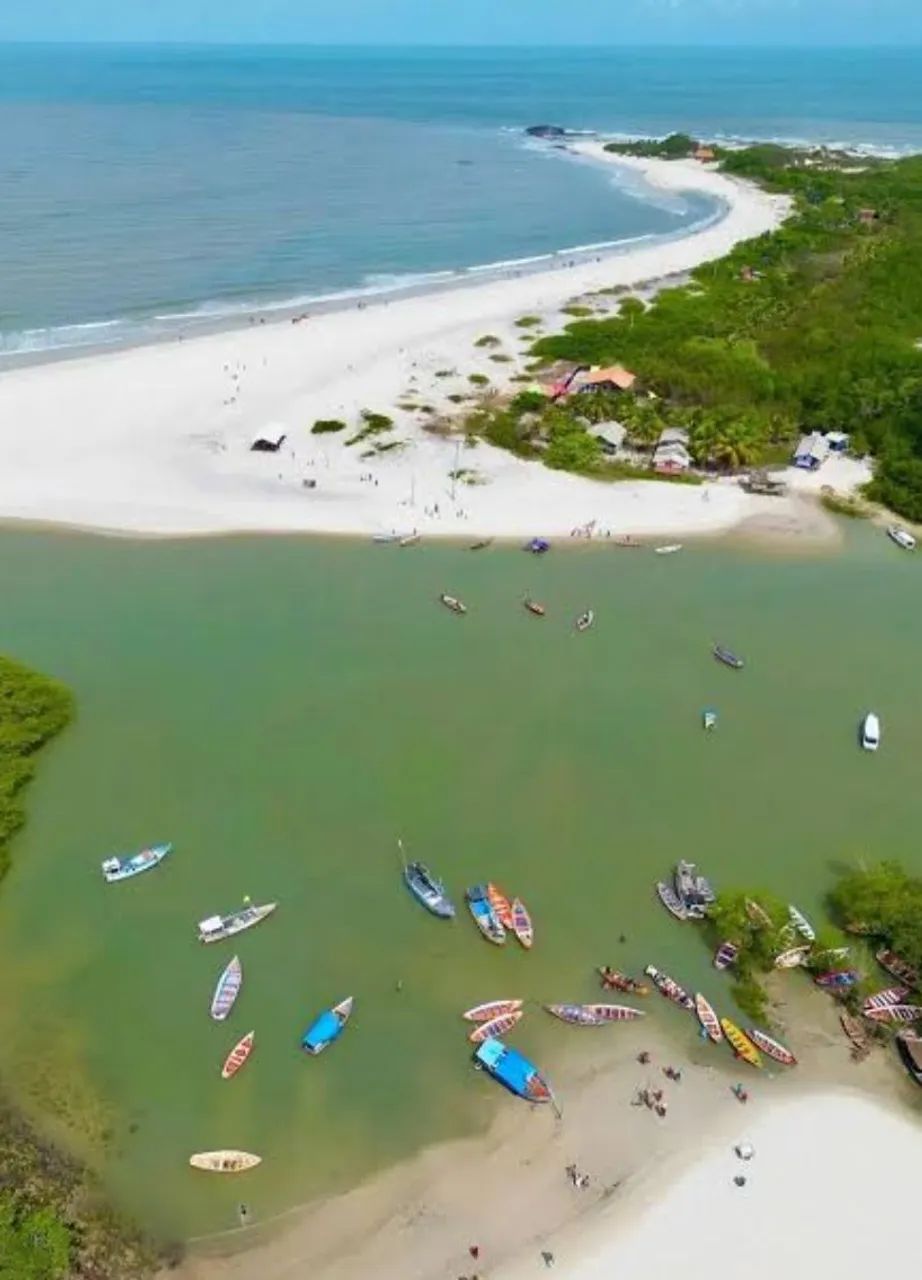 3 DIAS ALGODOAL ? ?  - Foto 6