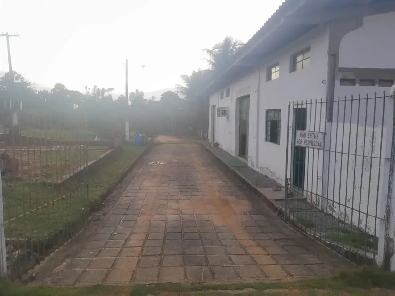 Fazenda Produtiva com 7,8 Hectares | Venda e Locação - Foto 2