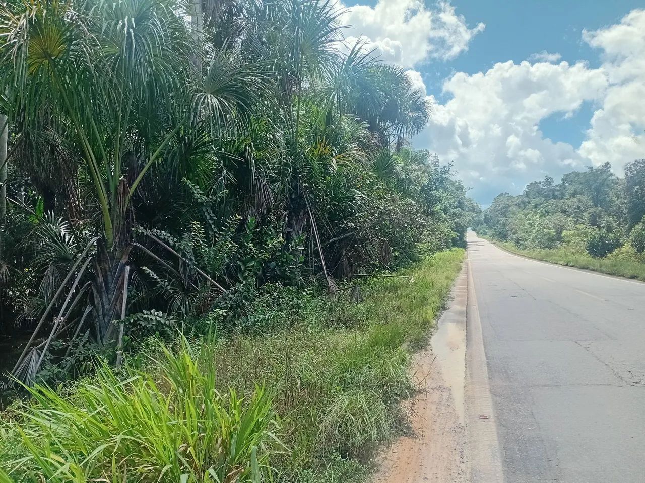 VENDO OU TROCO POR CARRO OU NEGOCIO TERRENO  na BR  174 KM 93, com doc. de compra e venda