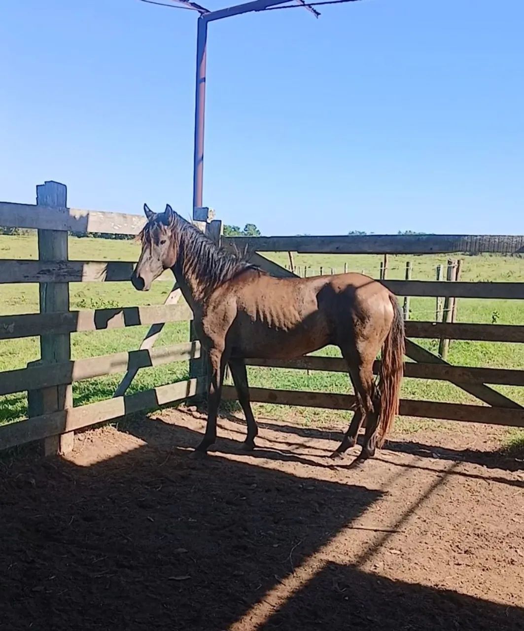 Vendo ou negocio pordo  - Foto 3