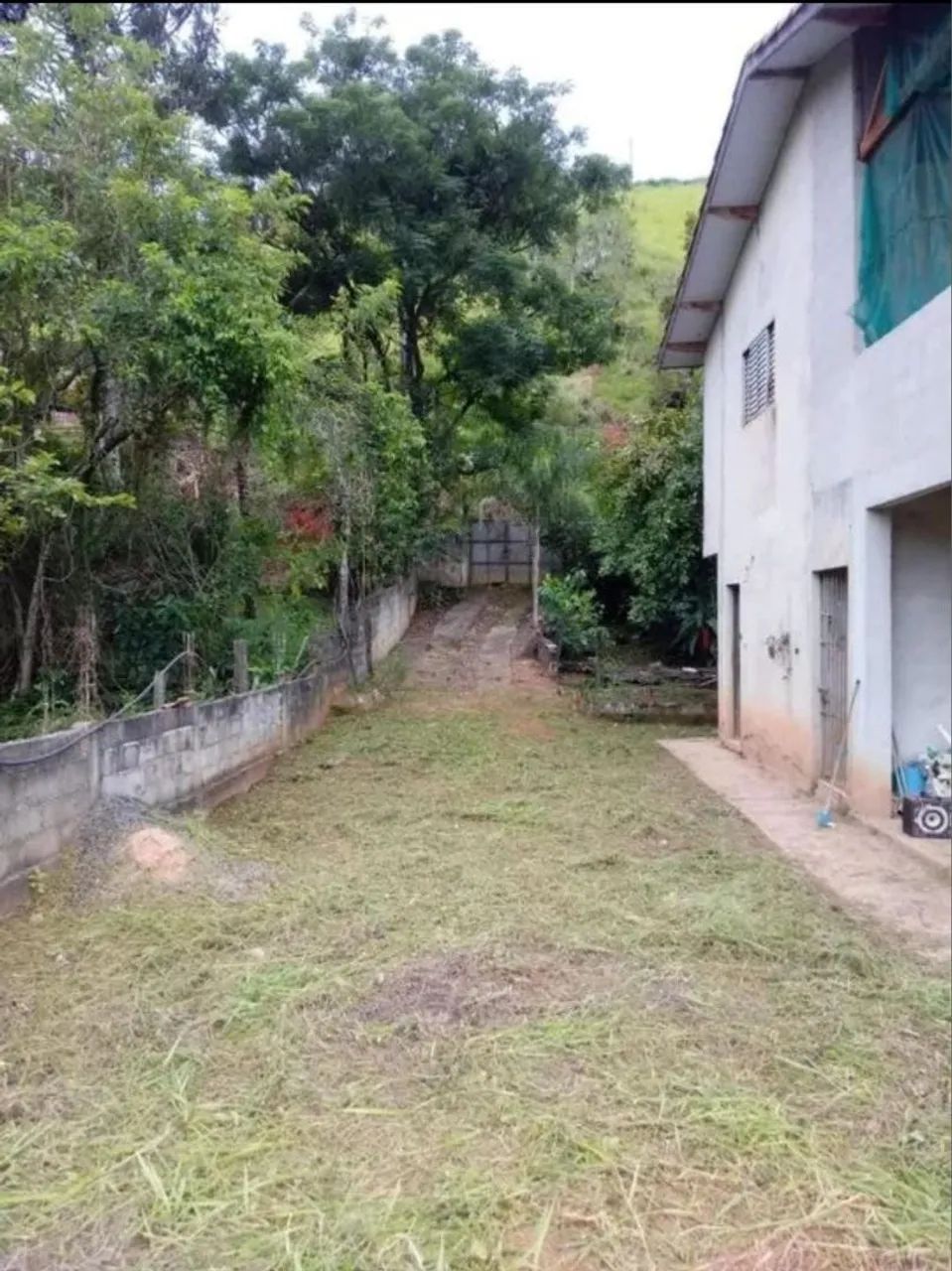 Foto - São José dos Campos - Bosque dos Eucaliptos