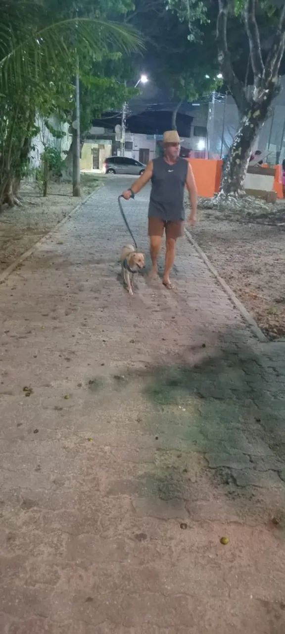 Cuidador de pet - Foto 2