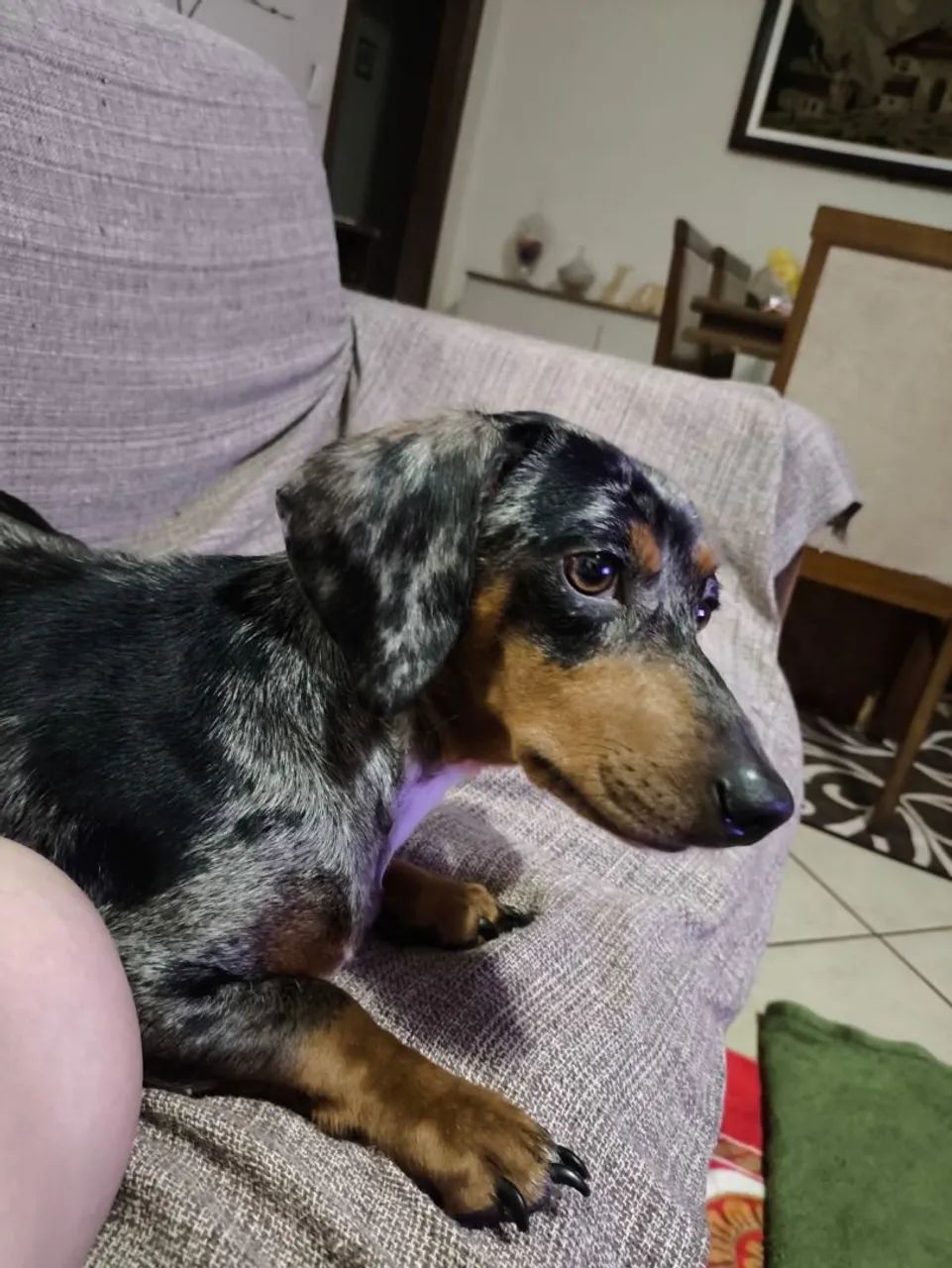 Procuro namorado.  - Foto 2
