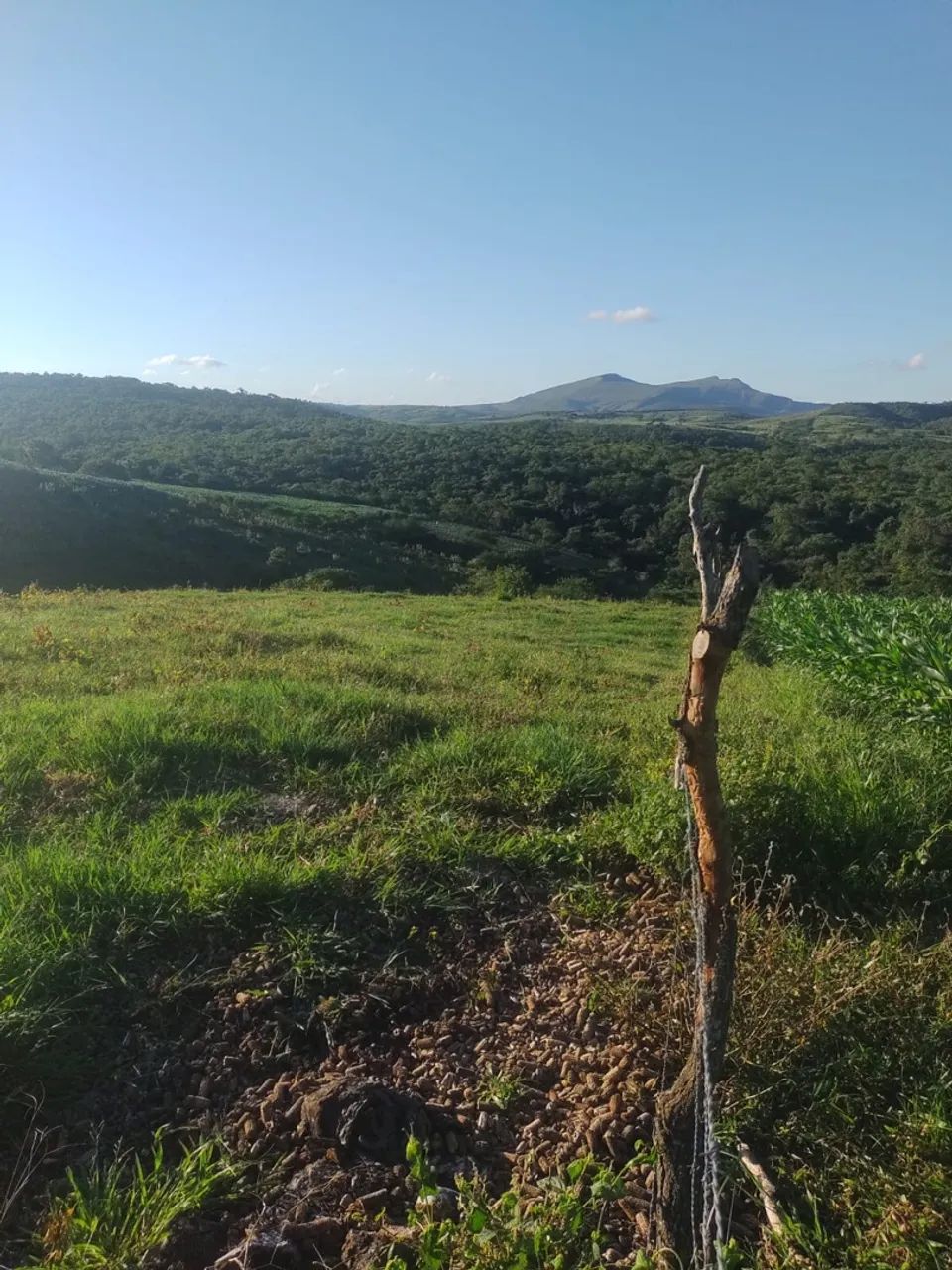 Terreno de 30 tarefas com casa  - Foto 4