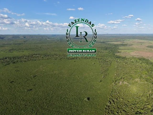 Fazenda  Agricultura Irrigada 93 Alqueires  Tocantins