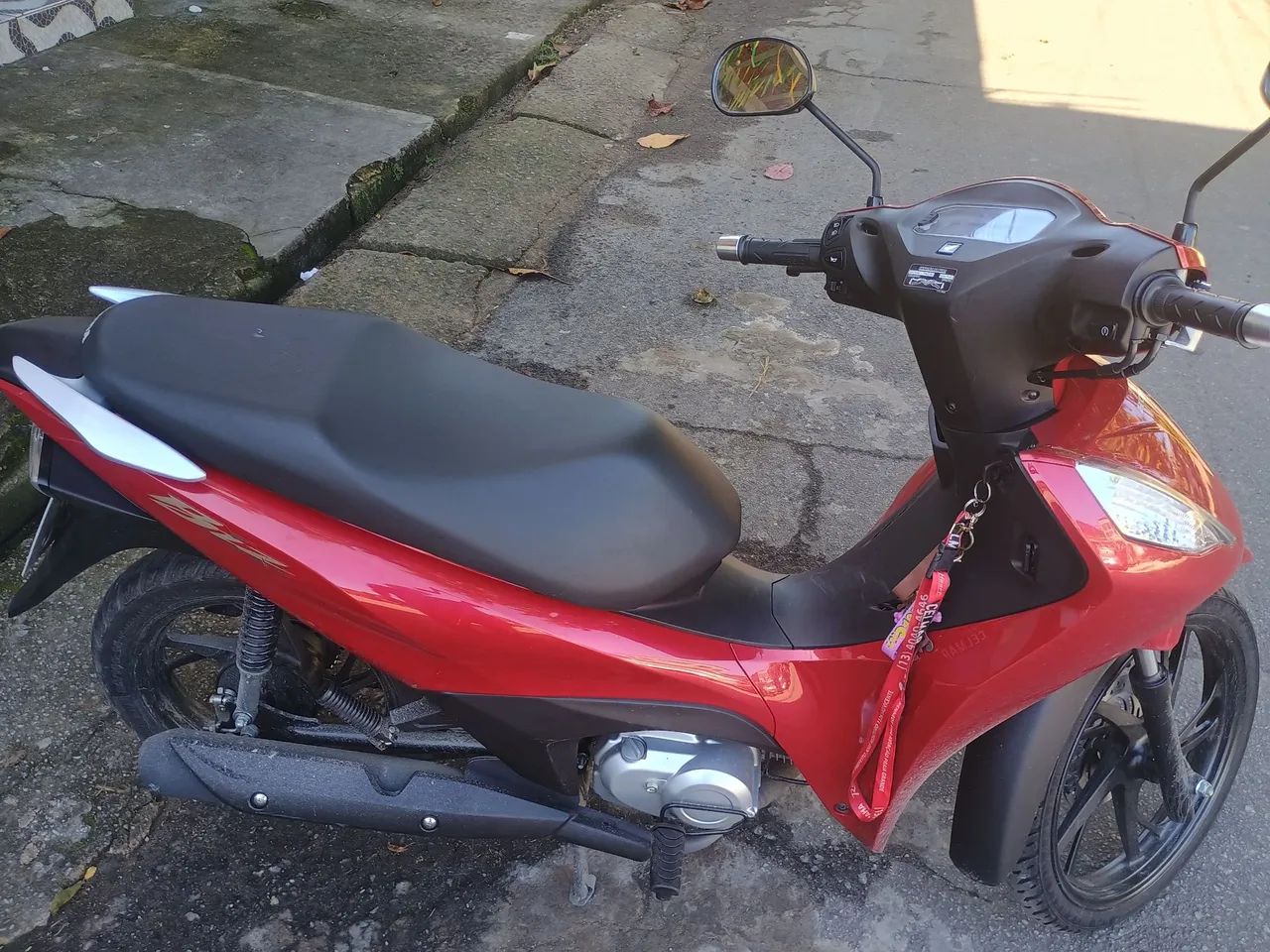 Blz 2025 flex - Foto 3