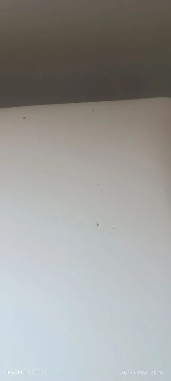 Maca Audrey  - Foto 4