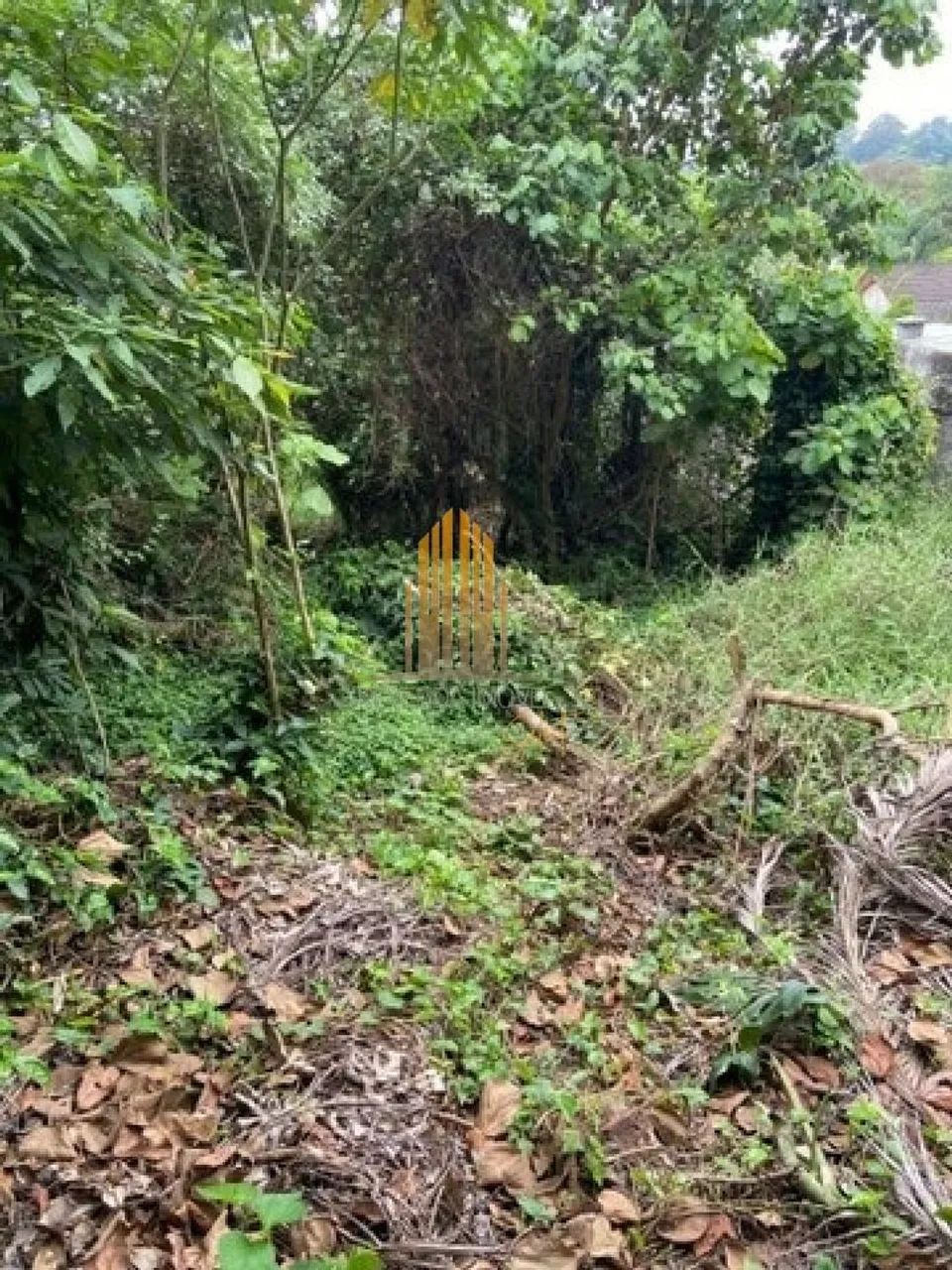 Terreno em São Paulo - Foto 5