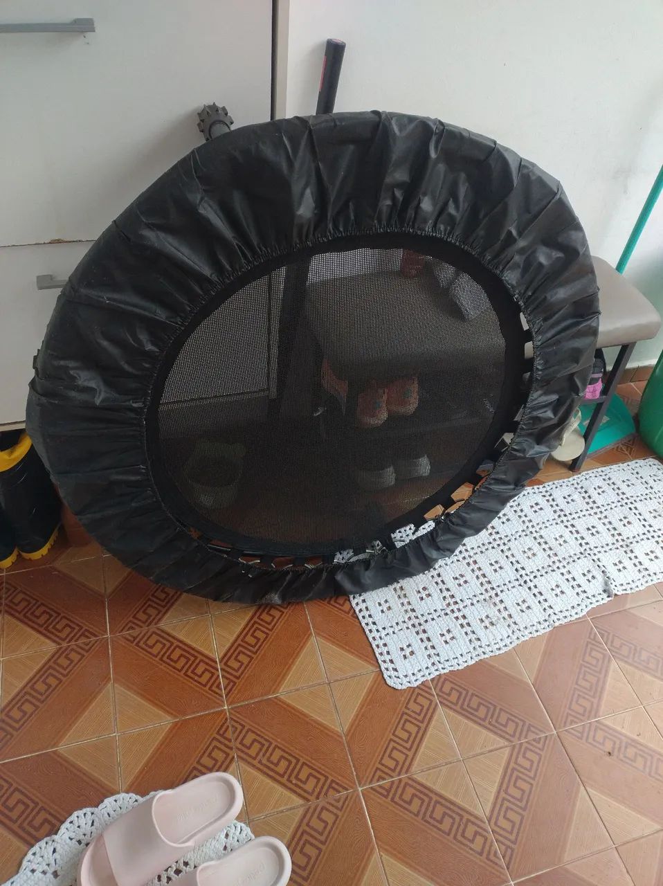 Trampolim academia 