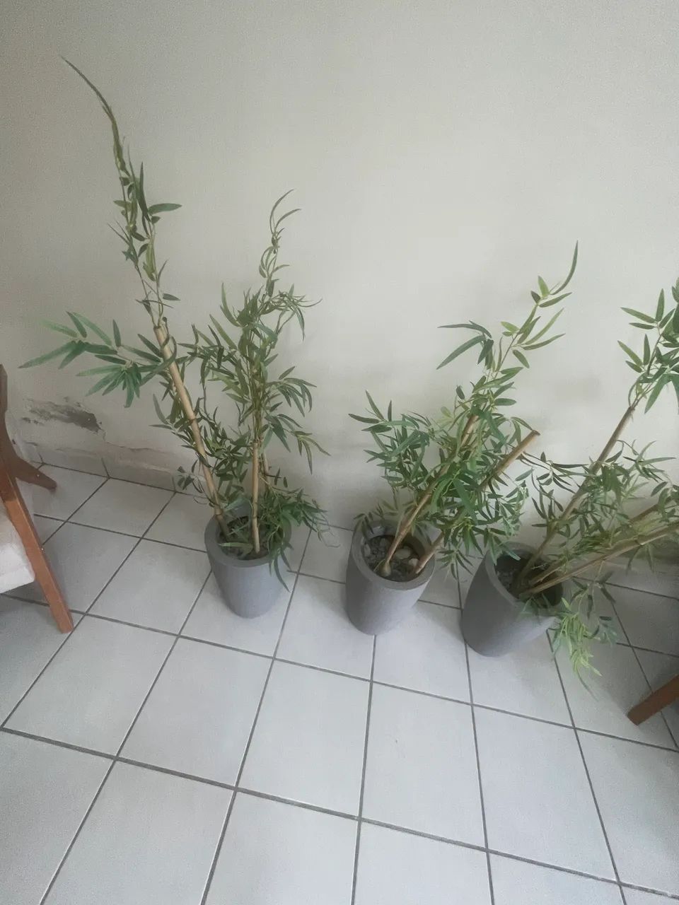 Kit vasos e  folhas de bambu