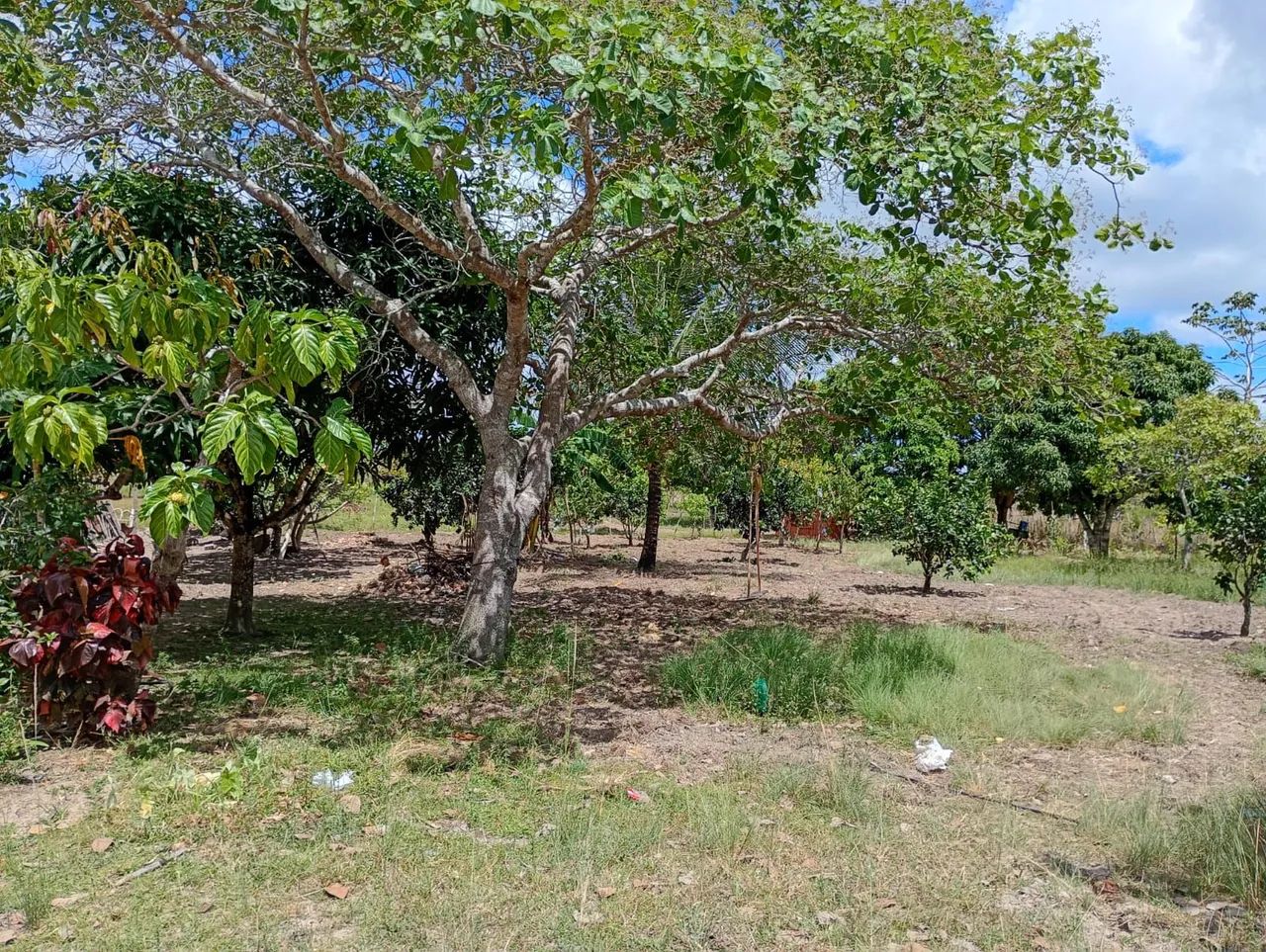 A venda - Foto 3