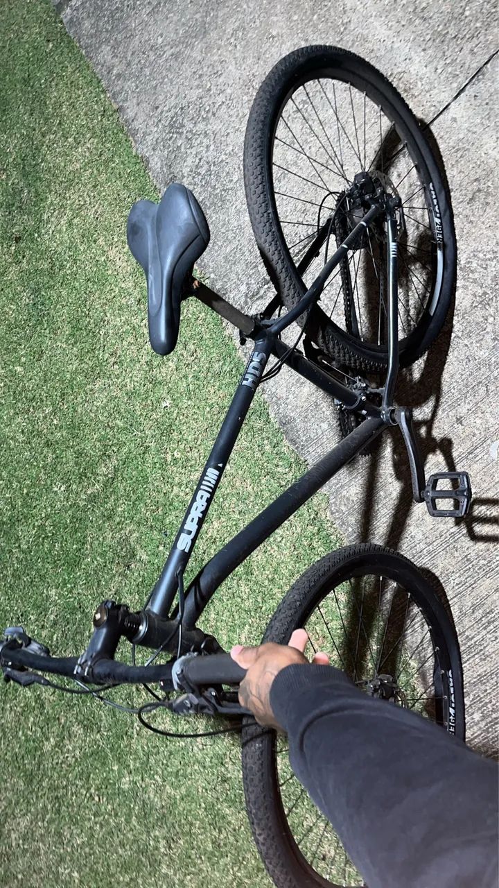 bike aro 29
