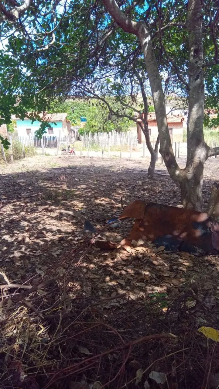 Venda de terreno  - Foto 2