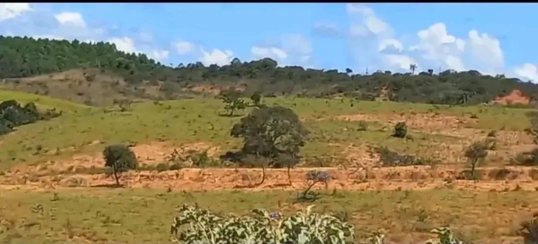 Fazenda sentindo campo florido  - Foto 5