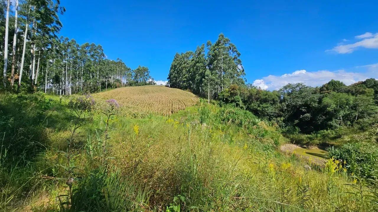 Sitio com linda vista em Anitápolis - SC - Foto 4