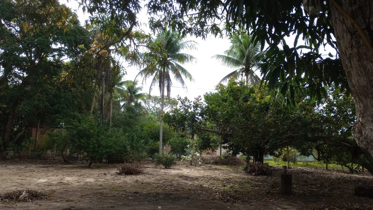Vendo sítio / Alugo também  - Foto 5