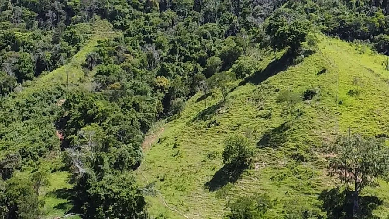 Chácara - Ferros/MG - Foto 3