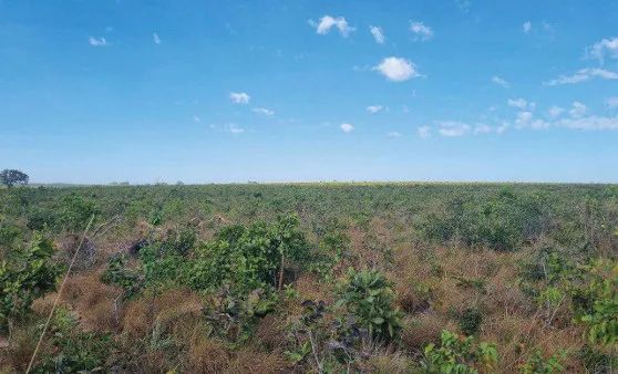 Imóvel rural no Zona Rural em Novo Acordo - Foto 2