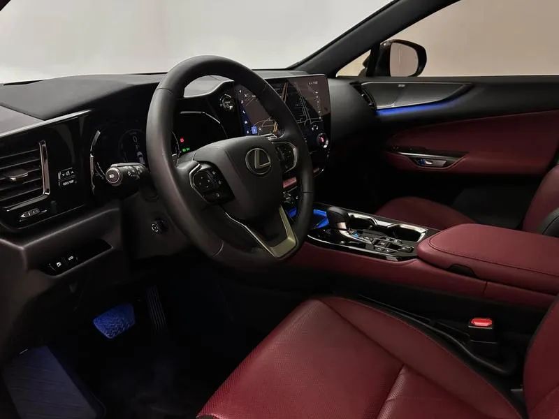 Lexus NX-450h+ AWD 2.5 16V Aut. (Híbrido), foto 10 de 20