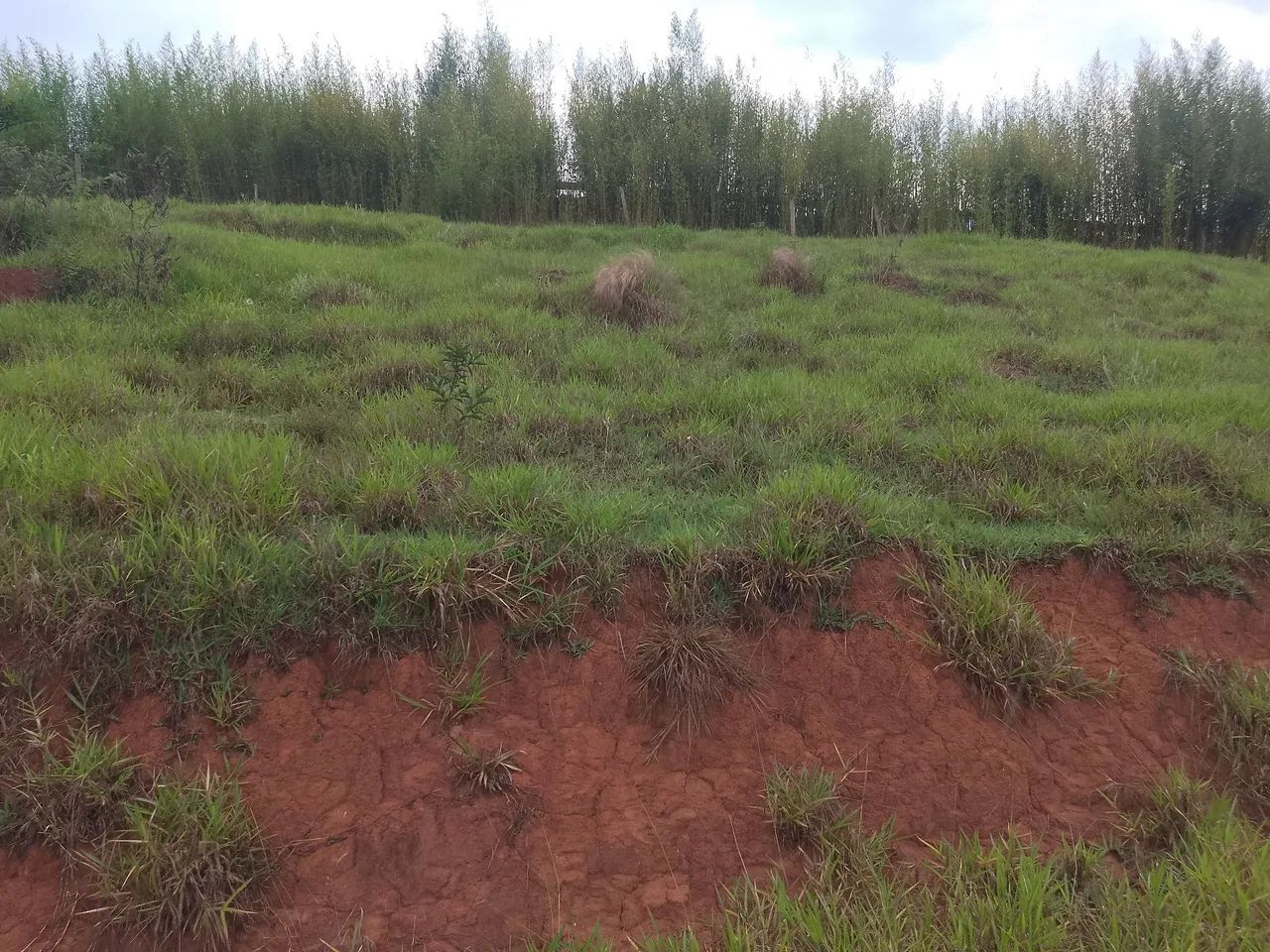 Vendo excelente terreno em Cunha sp  - Foto 2