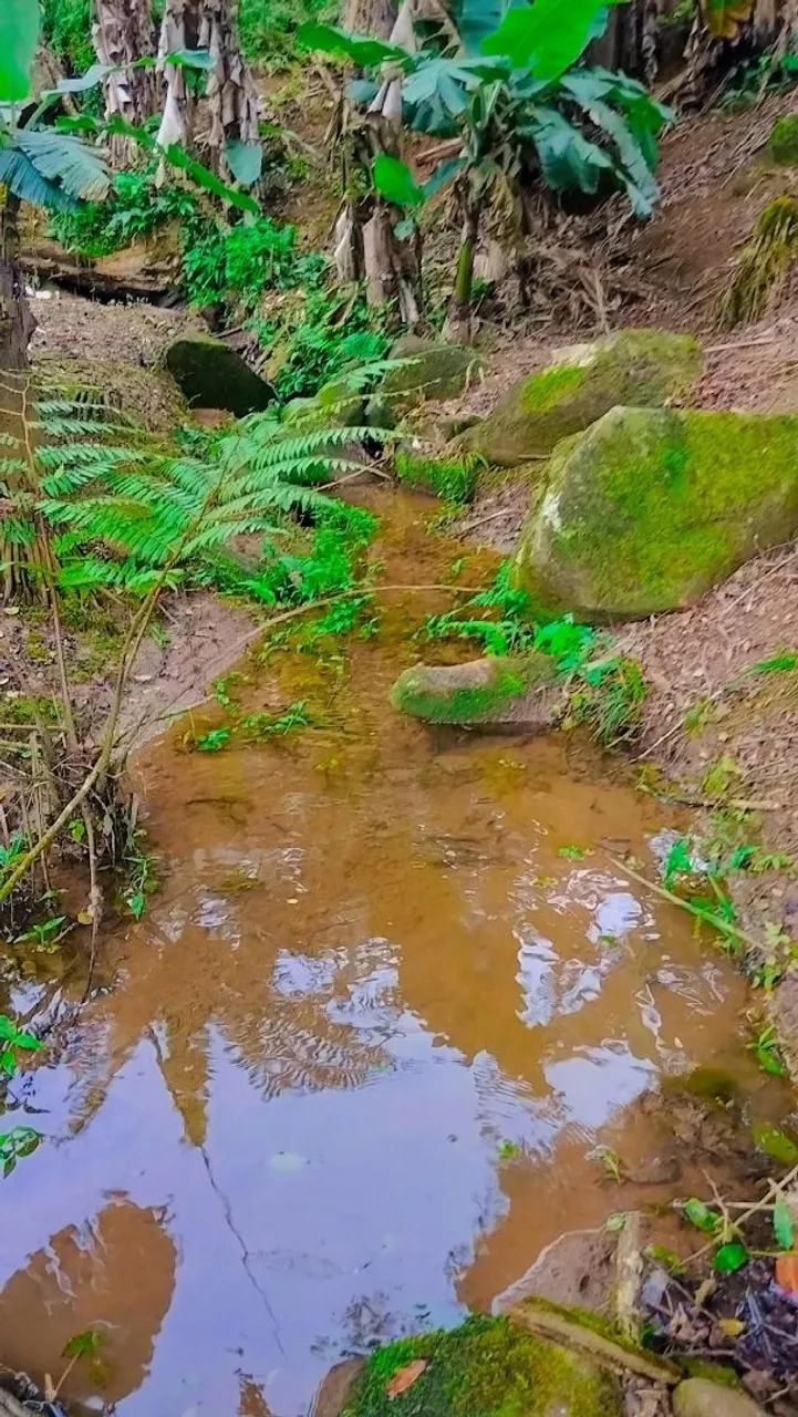 Chácara em Morretes  - Foto 2