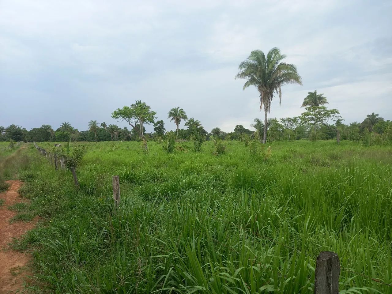 Fazenda São Cristóvão 02 - Foto 8