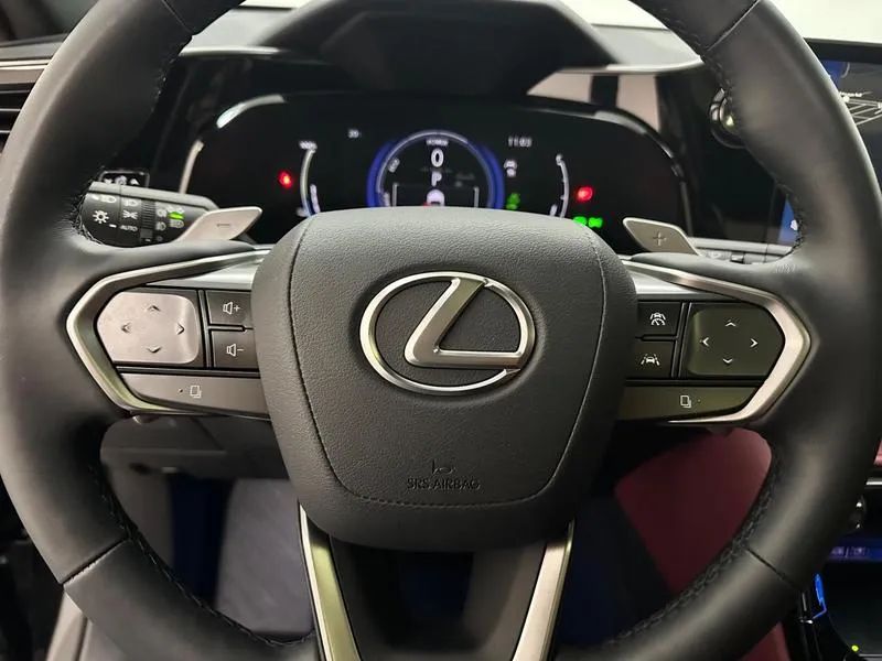 Lexus NX-450h+ AWD 2.5 16V Aut. (Híbrido), foto 15 de 20