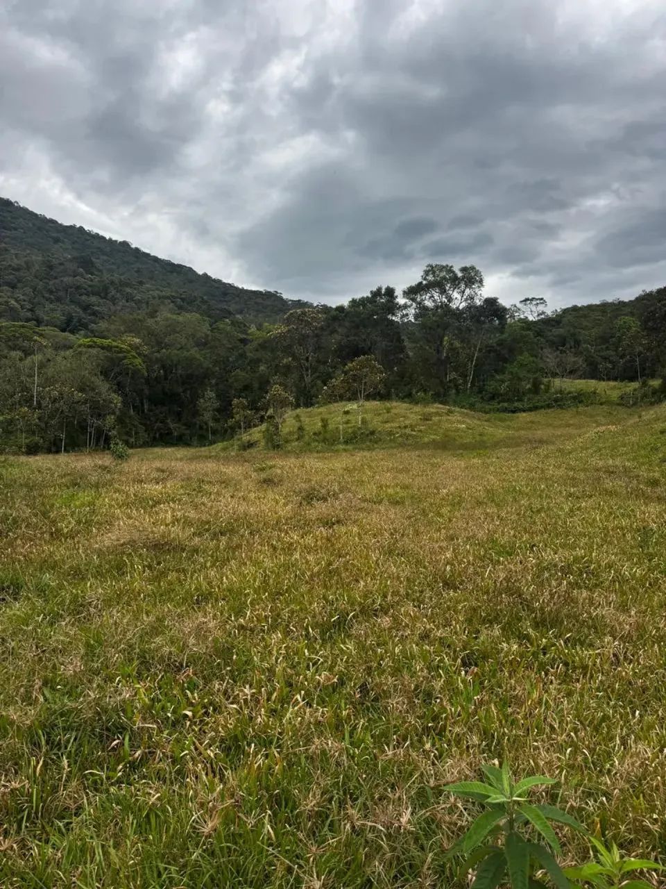 Sitio em Águas Mornas - SC - Foto 5