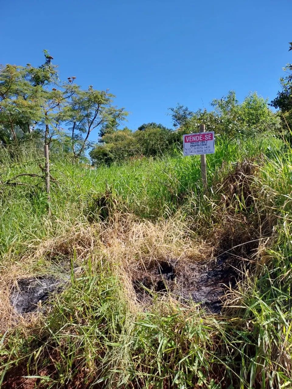 Chácara 2.000m² - Foto 2