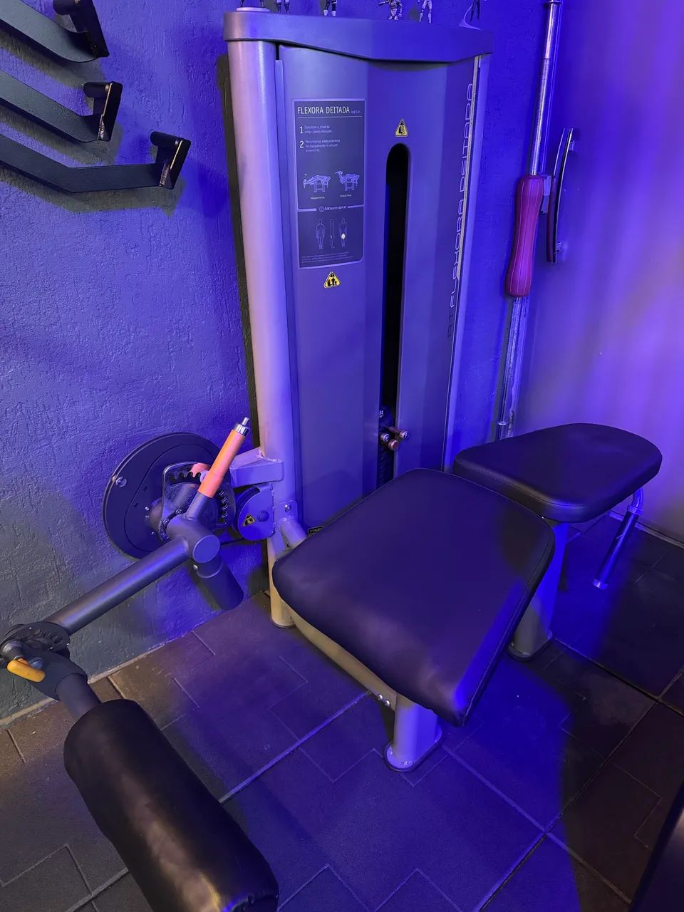 Mesa flexora Movement 