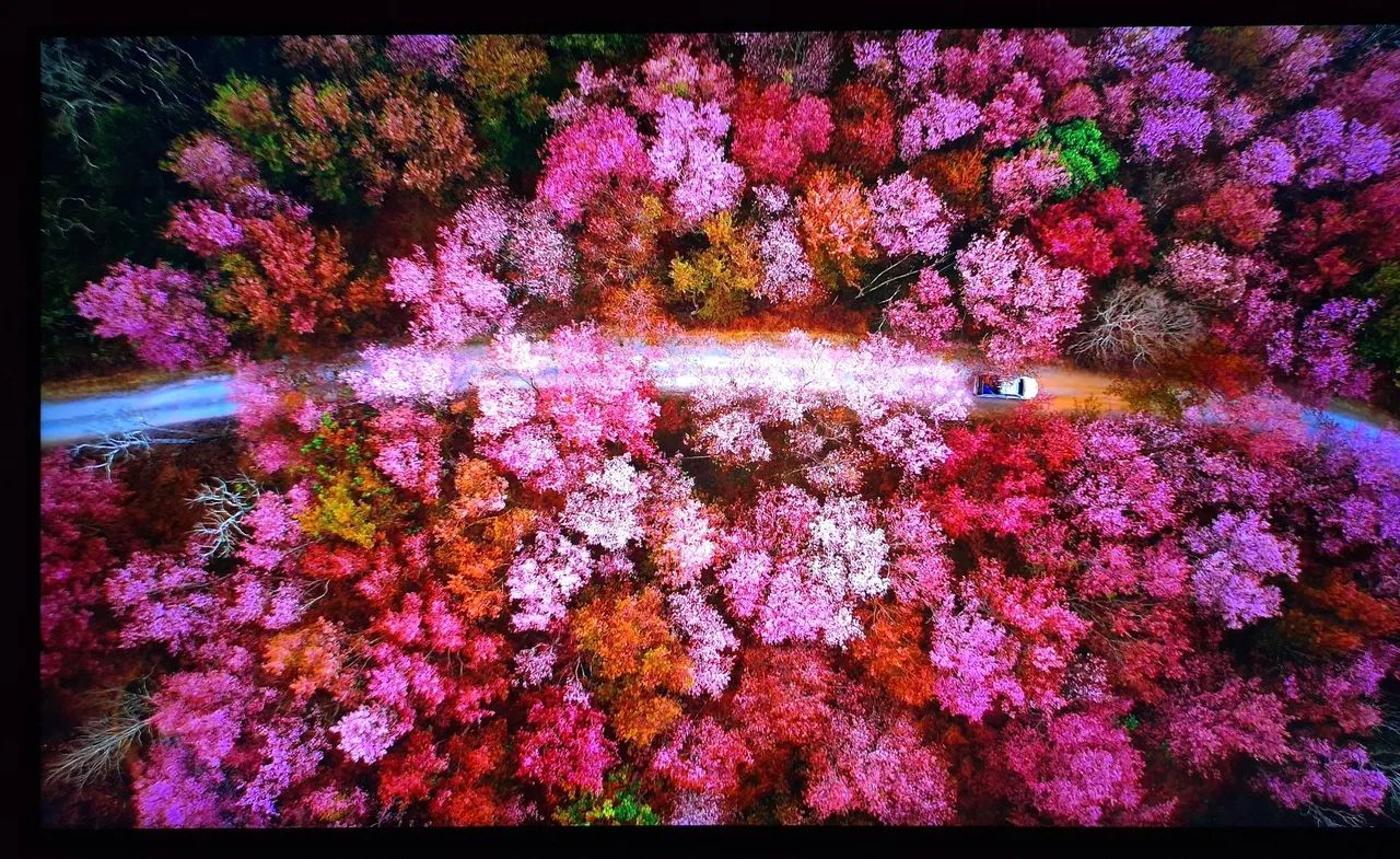 Smart TV 4K LG QNED 55 polegadas  - Foto 4