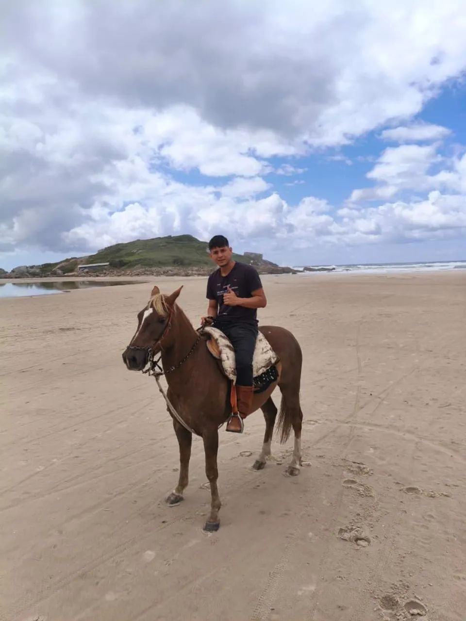 Vendo cavalo alazao  - Foto 4