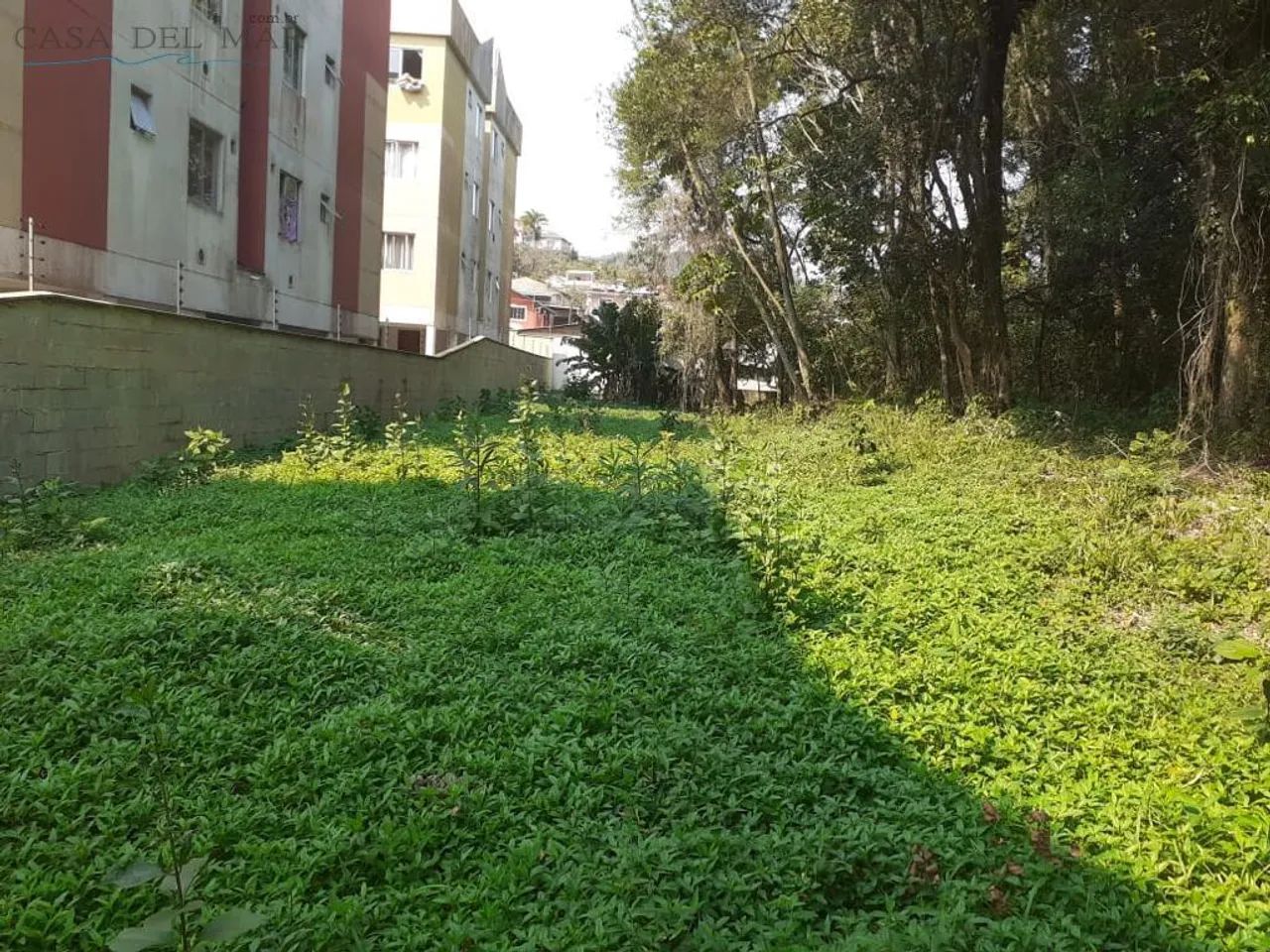Terreno para Venda em São José, Forquilhas - Foto 5